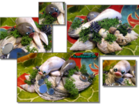 Entspannung am Strand