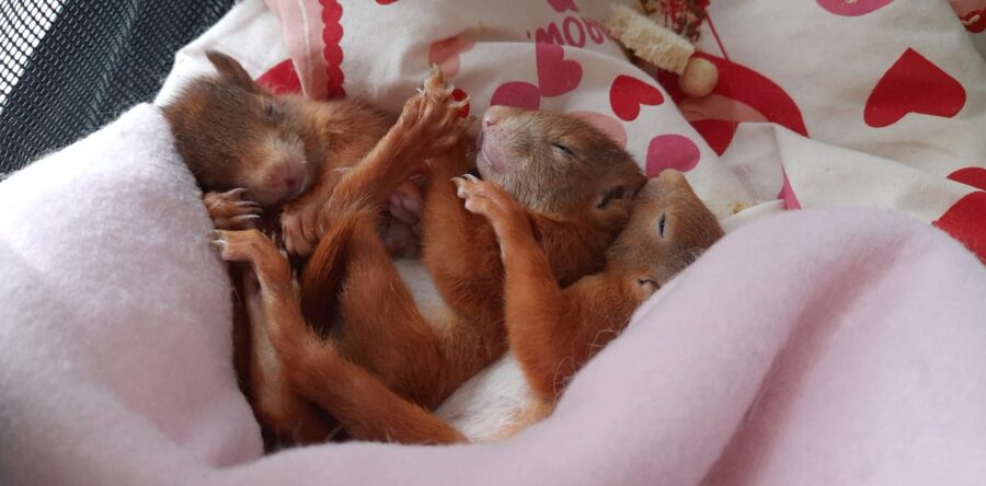 Ein kleiner Jahresrückblick